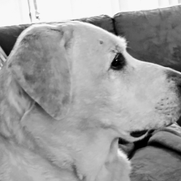 Meet your Posher, Andy - Picture 1 of 1